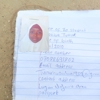 Nusaiba  Tukur 